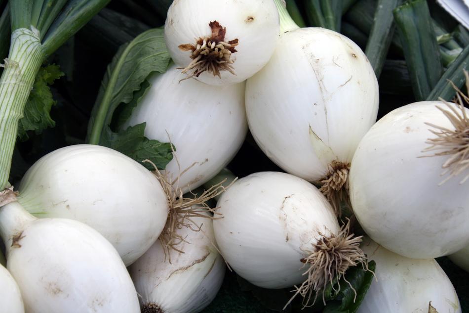 white onion harvest in a basket