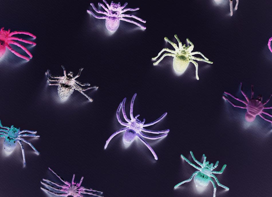 colored insects glow