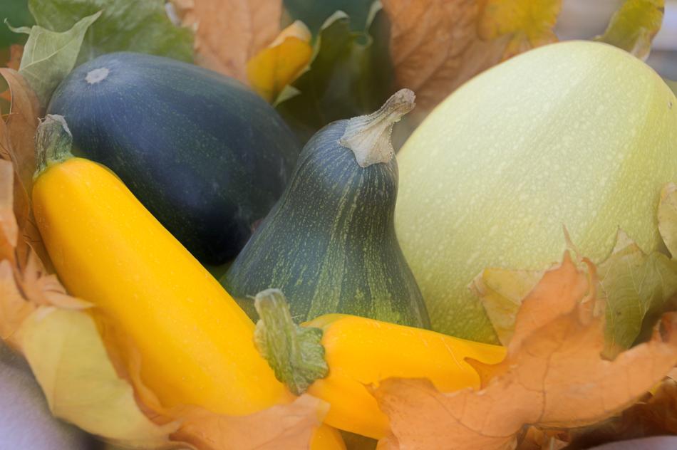 ripe colored vegetables