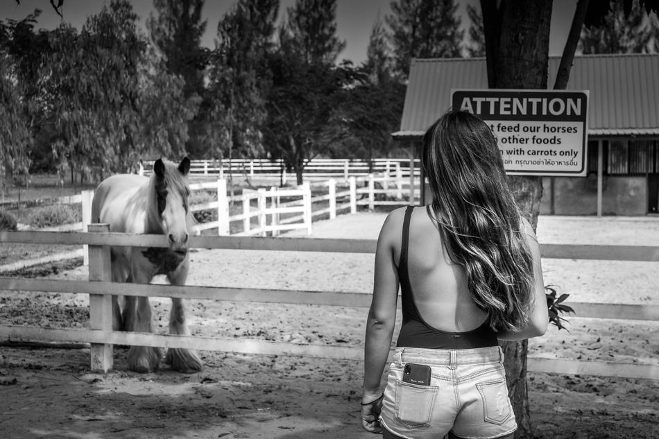 girl in white shorts on a farm