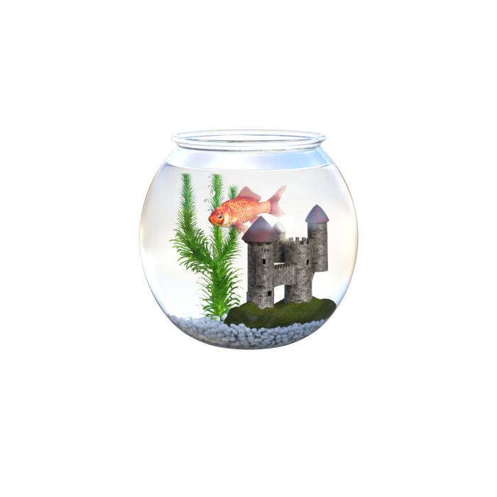 round aquarium with fish and corals