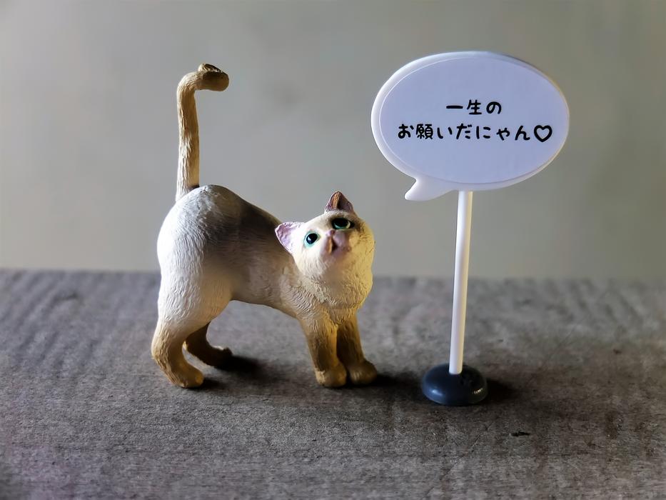 kitten lettering toy