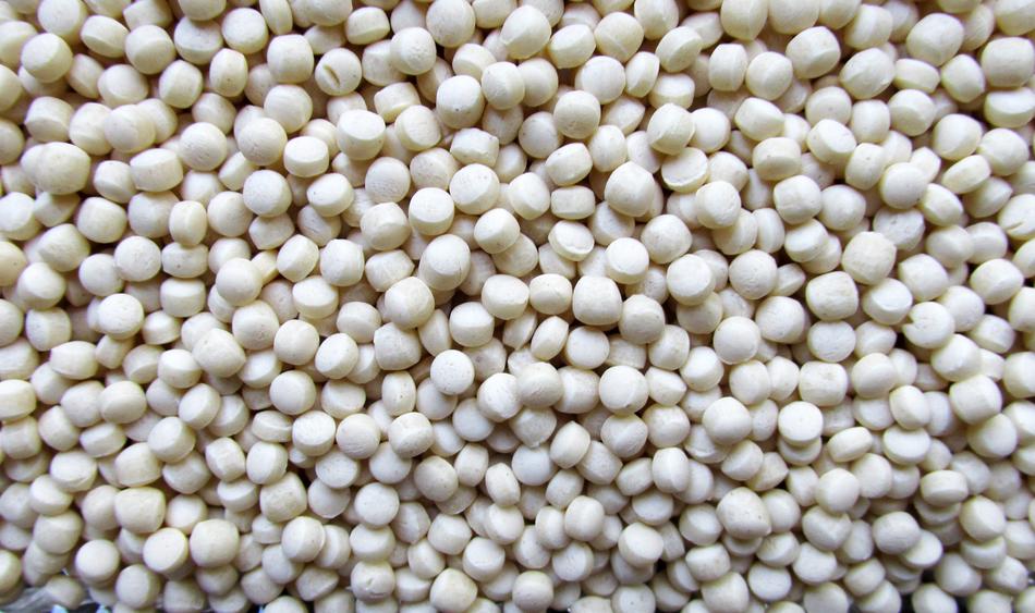 dried white beans