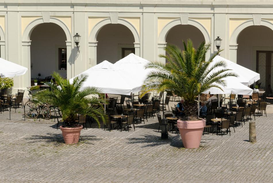 cafe terrace with flowers