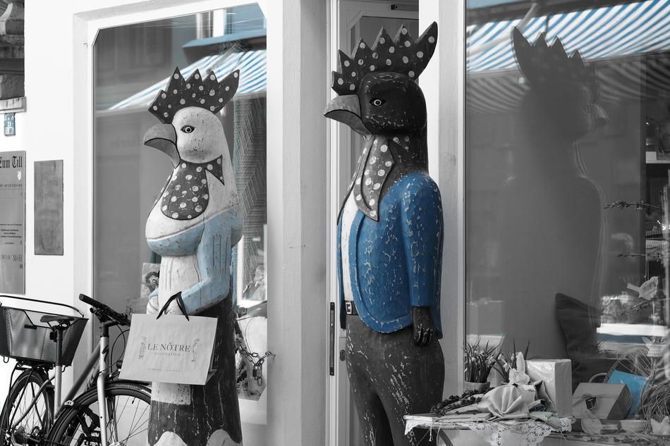 the costumes on the chickens