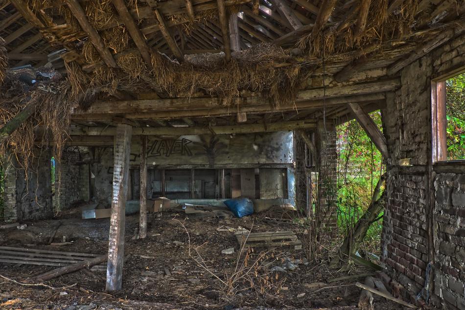 old animal shed