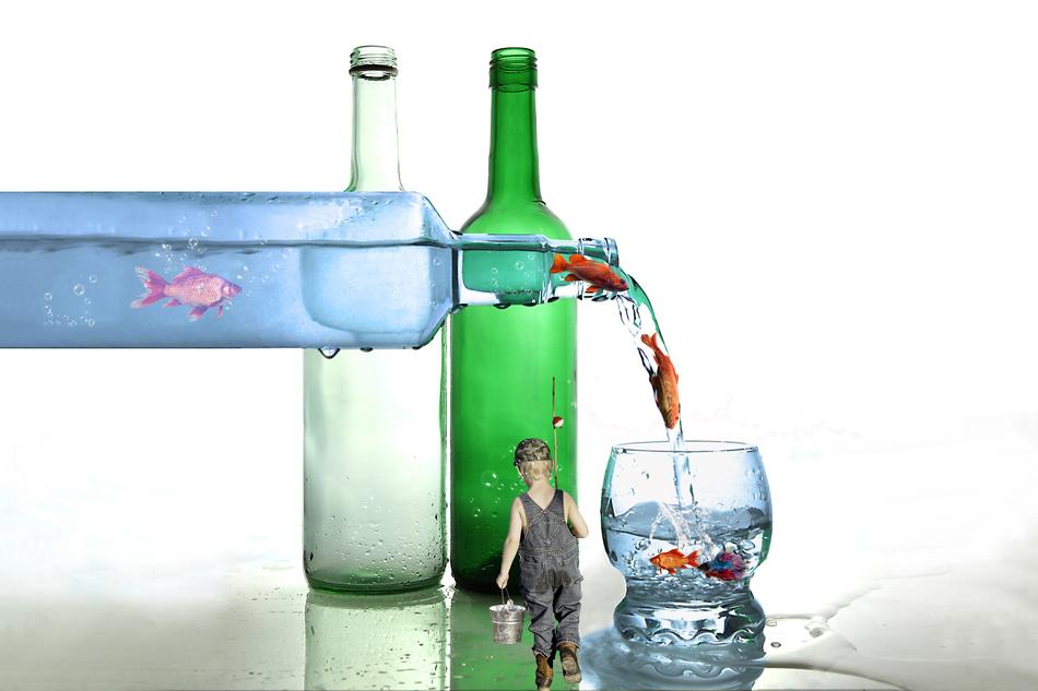 Glass Bottles Fish