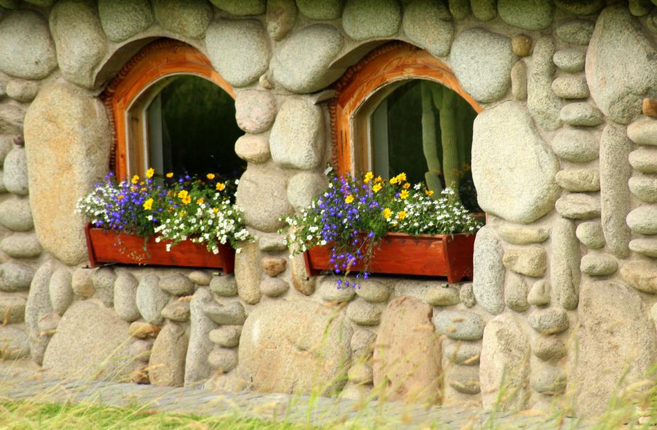 pots of flowers on the windows