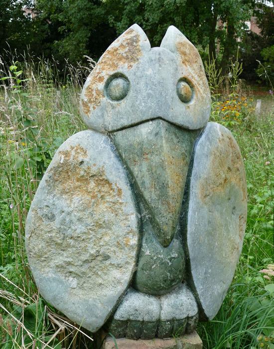 rocks owl grass view
