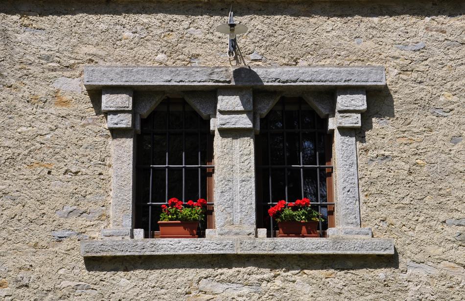 windows black red flowers
