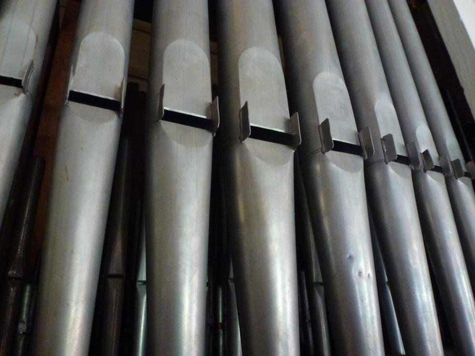 Organ Whistle