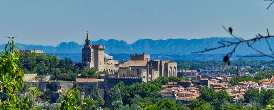 beautiful city panorama