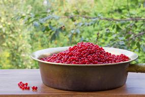 Garden berry crop in a plate