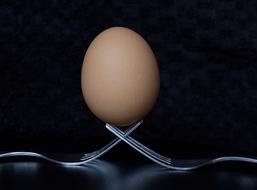 chicken egg on a fork