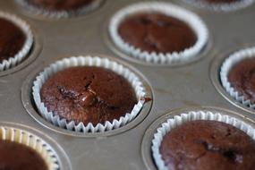 chocolate cupcakes in a wrapper