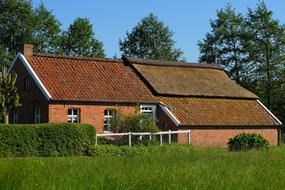 orange house in a field of green