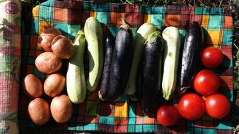 delicious vegetables on the table