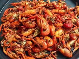 Juicy boiled crabs