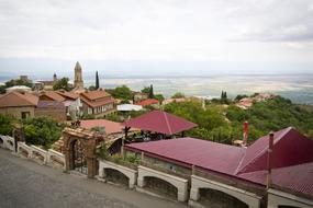 red roof with buildings view