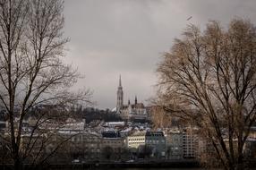 trees city skyline