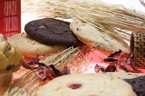 Chocolate chip cookies crispy