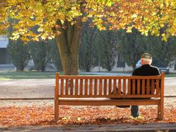 Ostfildern Autumn Lonely