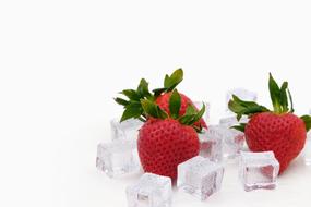 ice cubes with strawberries