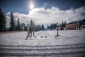 Ski Cross-Country Skiing Sport