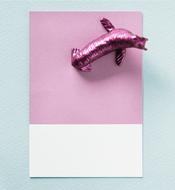animal abstract card