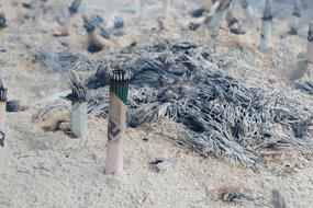 Worship Religion Measure