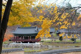 Korea Temple Autumn