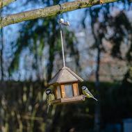 little bird house on a string