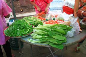 Healthy ripe vegetables on the table