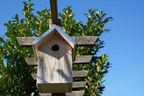 wooden birdhouse view