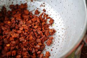 dried red spices