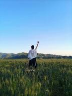 Field Girl
