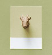 animal head abstract