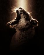 a screaming lion in the shadow of the view