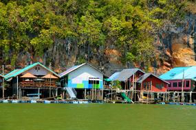 colored houses by the meadow