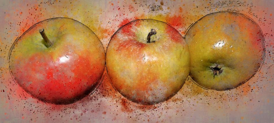 drawing of colorful juicy apples