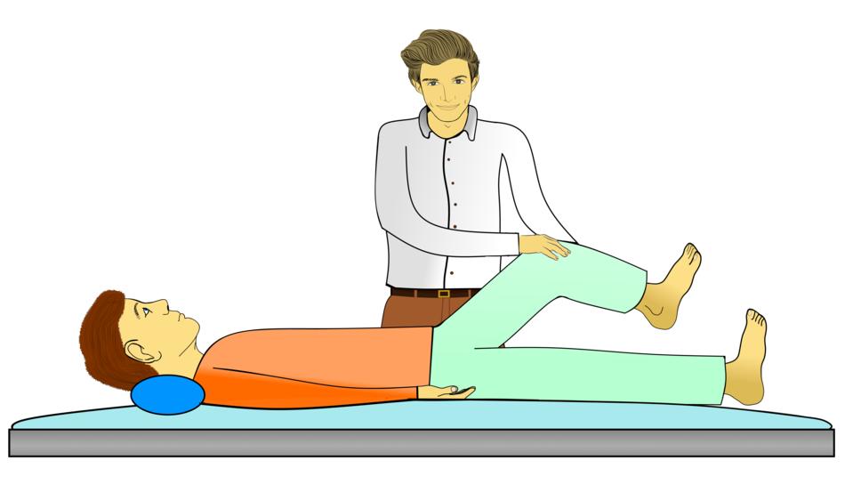 physiotherapy gymnastics doctor