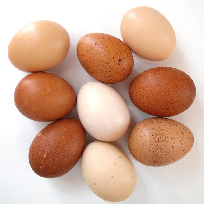 raw chicken eggs on a white background