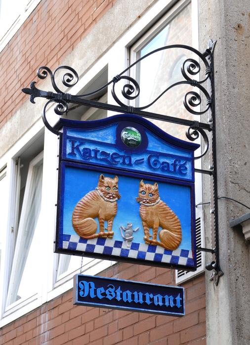 cats couple blue background