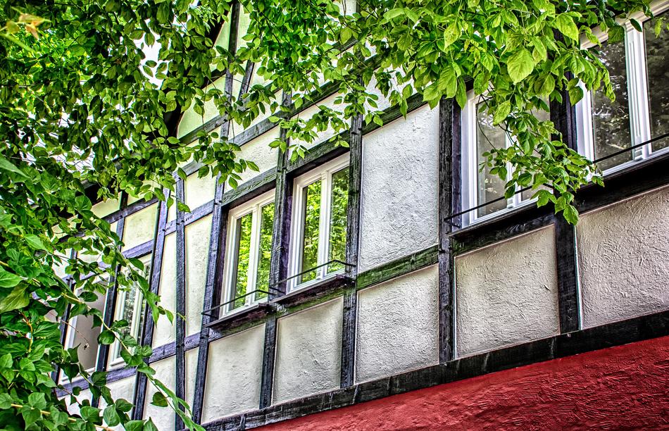 architecture house windows leaves