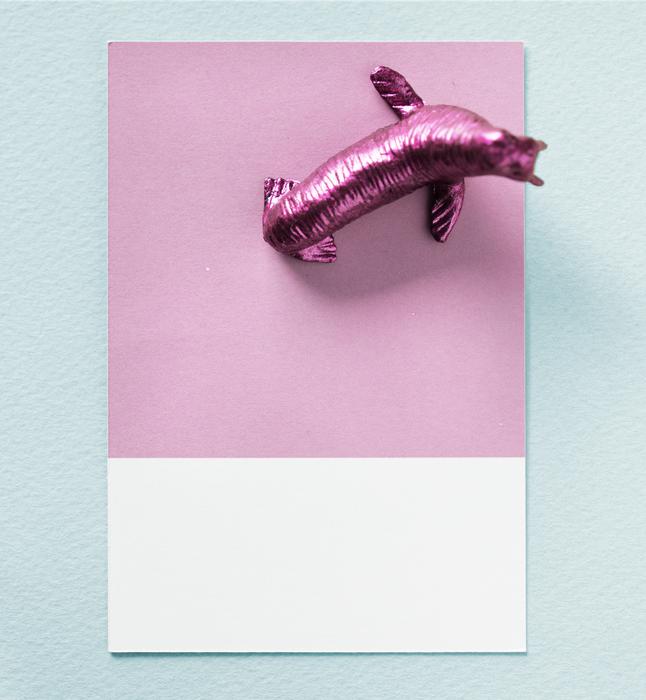 animal abstract card