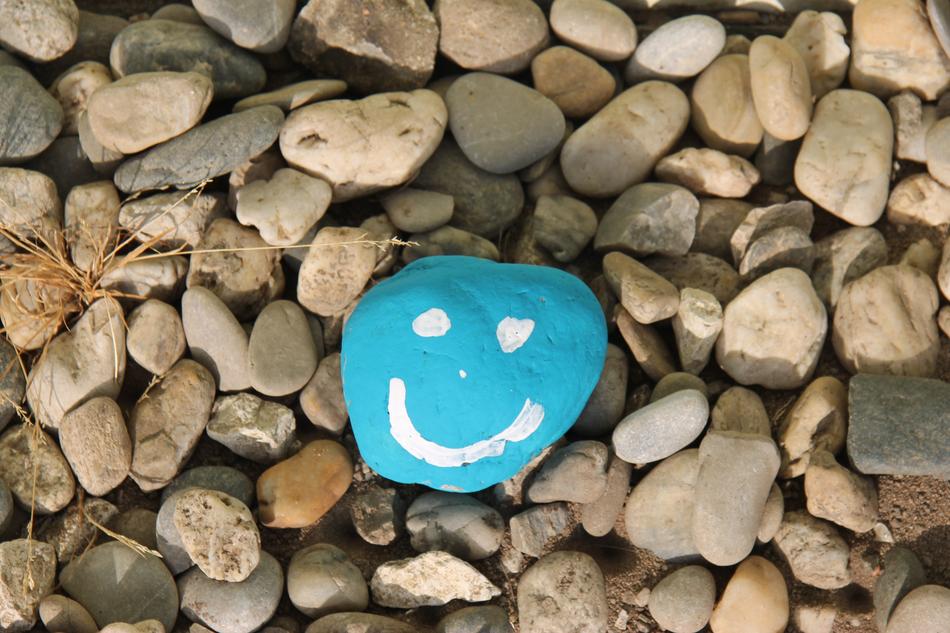 blue rock with a smiley face on the beach