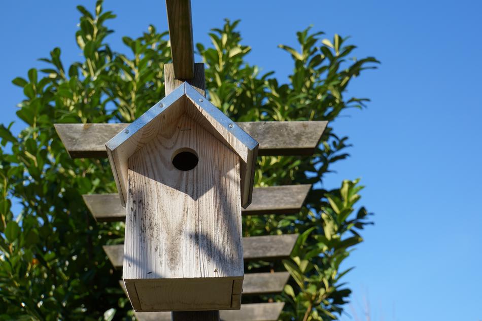 wooden birdhouse view