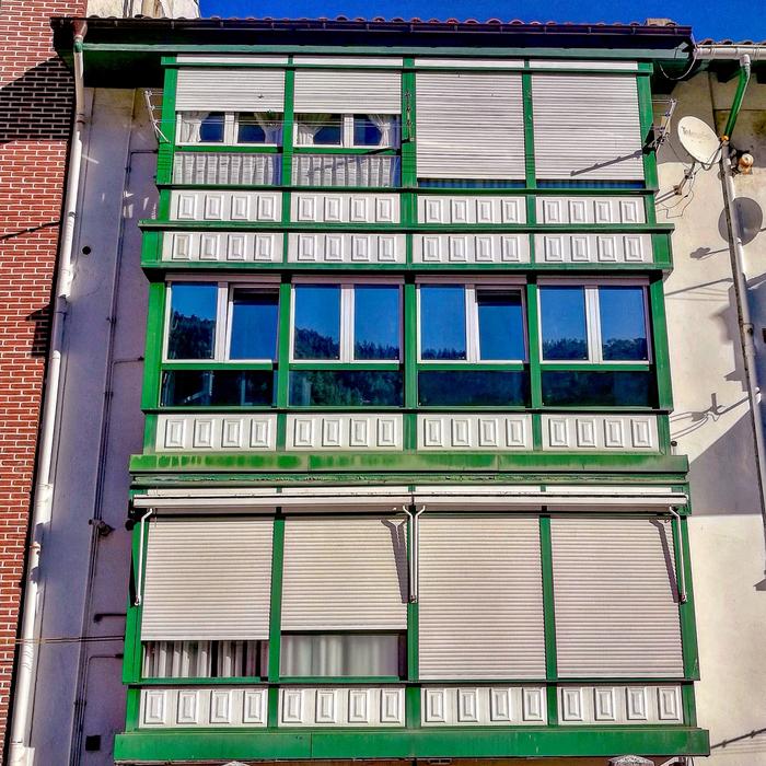 the green pattern at the window in the house