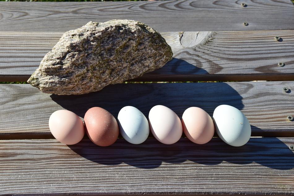 colored eggs on a rock background