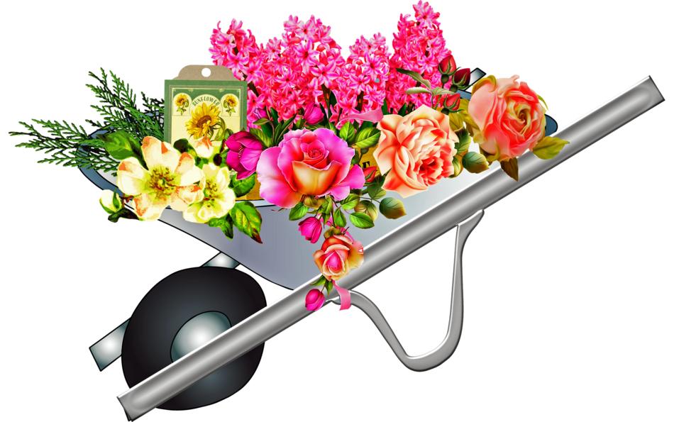 flowers in wheel barrel